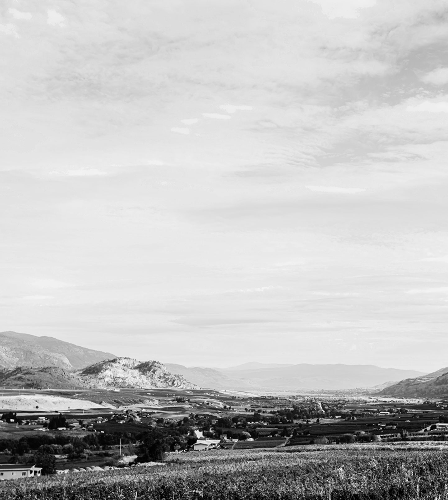 Vineyards Okanagan Valley, Oliver, BC